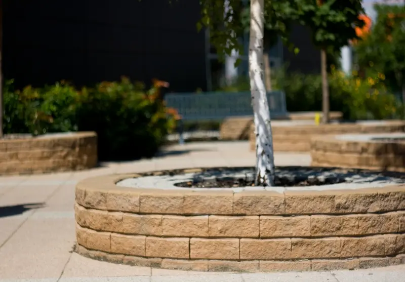 Planters around trees