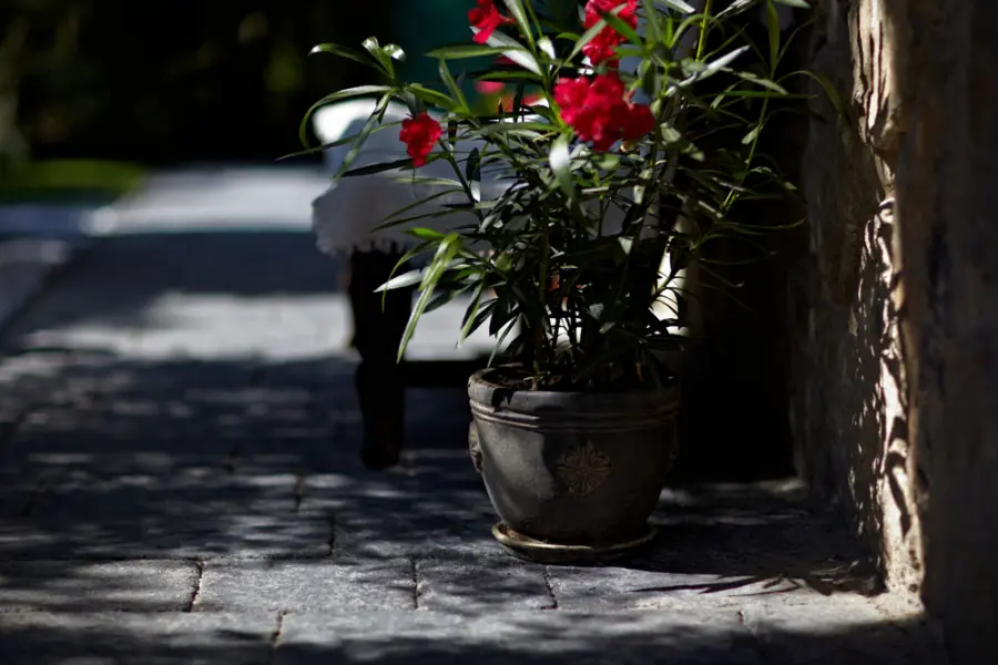 Shaded terrace