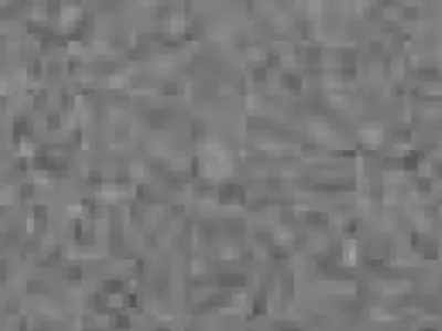 antracit